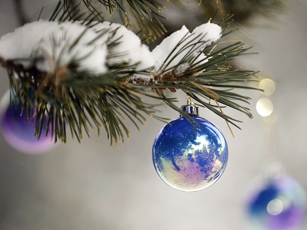 Trasplante Capilar, el regalo perfecto de Navidad